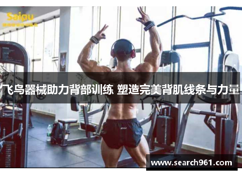 飞鸟器械助力背部训练 塑造完美背肌线条与力量