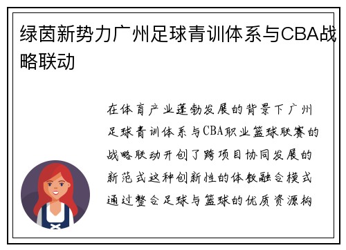 绿茵新势力广州足球青训体系与CBA战略联动