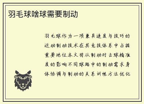 羽毛球啥球需要制动